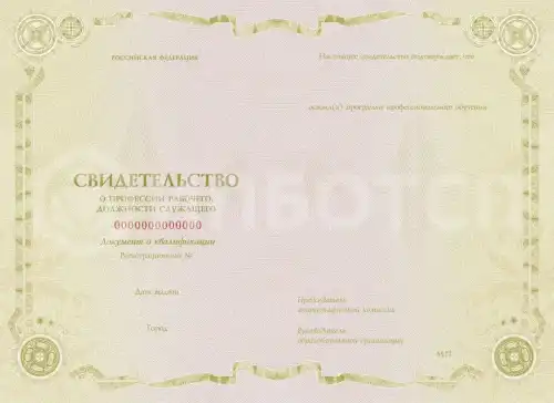 Аппаратчик деаэрации